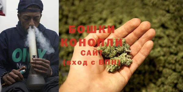 ПСИЛОЦИБИНОВЫЕ ГРИБЫ Покачи