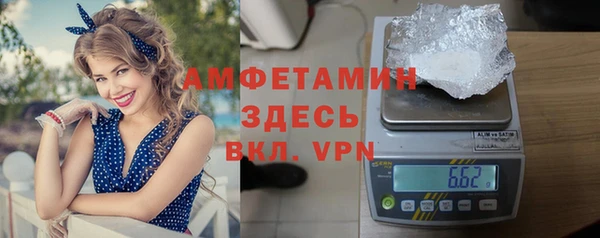 трава Аркадак